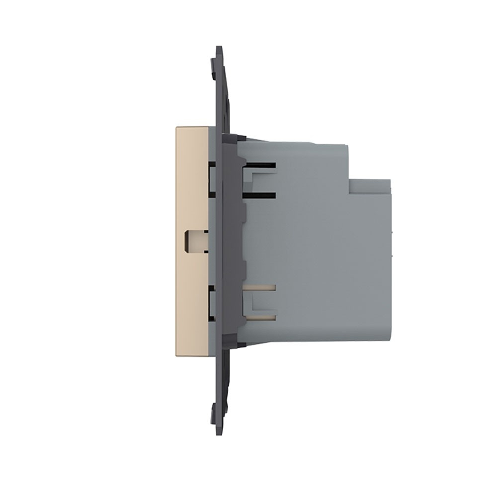 Розетка USB type C+A с блоком питания 36W Livolo  - 2
