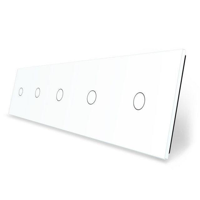 Стеклянная панель для  пяти  одноклавишных сенсорных выключателей  белая 