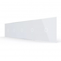 Стеклянная панель для  пяти  одноклавишных сенсорных выключателей  белая 